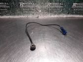 Sensor