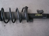 Front shock absorber with coil spring