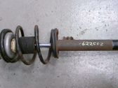 Front shock absorber with coil spring