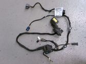 Cableado de puerta trasera