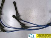 Ignition plug leads
