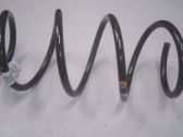 Front coil spring