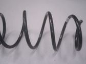 Front coil spring