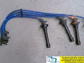 Ignition plug leads