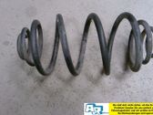 Rear coil spring
