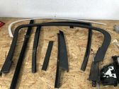 Rear door glass trim molding