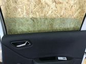Rear door window glass