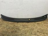 Wiper trim