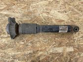 Rear shock absorber/damper
