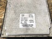 Engine control unit/module ECU