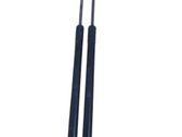 Tailgate/trunk strut/damper