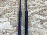 Front bonnet/hood damper/strut