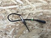 Sensor de temperatura del escape