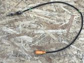 Exhaust gas temperature sensor