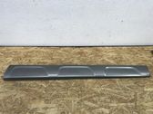 Listón embellecedor de la puerta delantera (moldura)