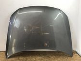 Motorhaube