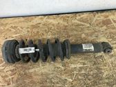 Rear shock absorber/damper