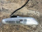 Front fender indicator light