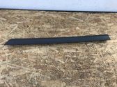Rear door trim (molding)