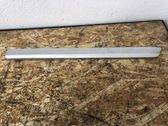Rear door trim (molding)