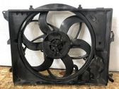 Electric radiator cooling fan