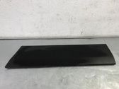 Front door trim (molding)