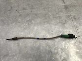 Interior temperature sensor