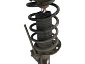 Amortiguador delantero con muelle espiral