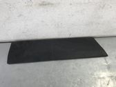 Front door trim (molding)