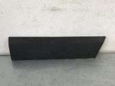 Front door trim (molding)