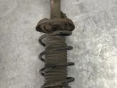 Front shock absorber with coil spring
