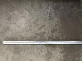 Front door trim (molding)