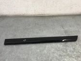 Rear door trim (molding)