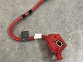 Positive wiring loom
