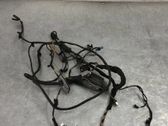 Front door wiring loom