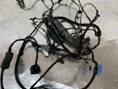 Front door wiring loom