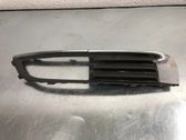 Front fog light trim/grill