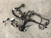 Faisceau de câblage pour moteur