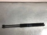 Tailgate/trunk strut/damper