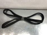 Rear door rubber seal (on body)