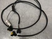 Other wiring loom