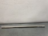 Front door trim (molding)