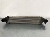 Intercooler radiator