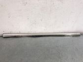 Listón embellecedor de la puerta delantera (moldura)