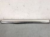 Rear door lower hinge
