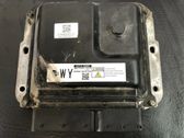 Engine control unit/module ECU