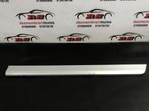 Rear door trim (molding)