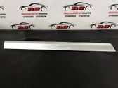 Rear door trim (molding)