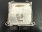 Motorsteuergerät ECU