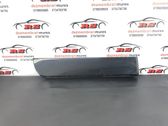 Rear door trim (molding)